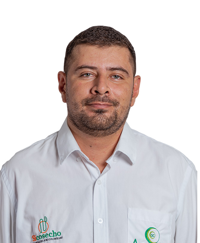 Coordinador logistico