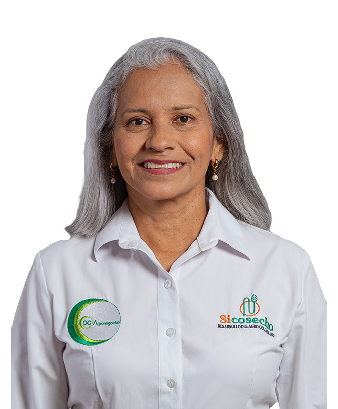 Auxiliar Administrativo